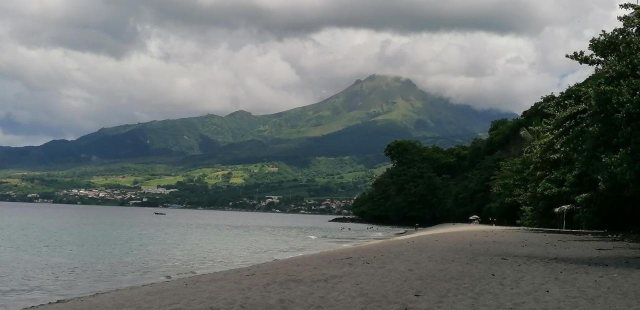 Le Goyavier Lägenhet Saint-Pierre Exteriör bild